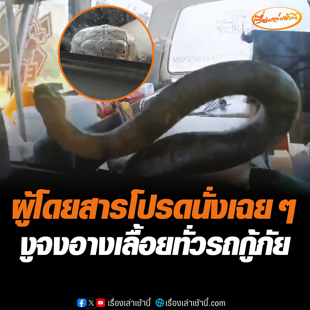 ว้าวุ่นทั้งคัน จงอางยาว 3 เมตรกว่า หลุดออกจากลัง เลื้อยไปทั่วรถกู้ภัย ขณะกำลังนำปล่อยคืนสู่ป่า กู้ภัยลั่น "วอนผู้โดยสารนั่งเฉย ๆ คาดเข็มขัดด้วย" #เรื่องเล่าเช้านี้ #ข่าวช่อง3 #ข่าวภูมิภาค #กำแพงเพชร #งูจงอาง
