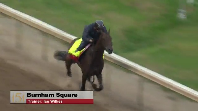 .Rosie Napravnik gives her take on #KyDerby contender Burnham Square's work this morning at Churchill Downs.