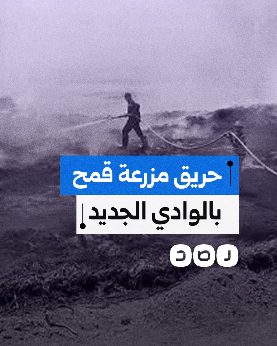 حريق هائل يتسبب في تفحم 150 فدانا مزروعة بالقمح في الوادي الجديد.. ما القصة؟