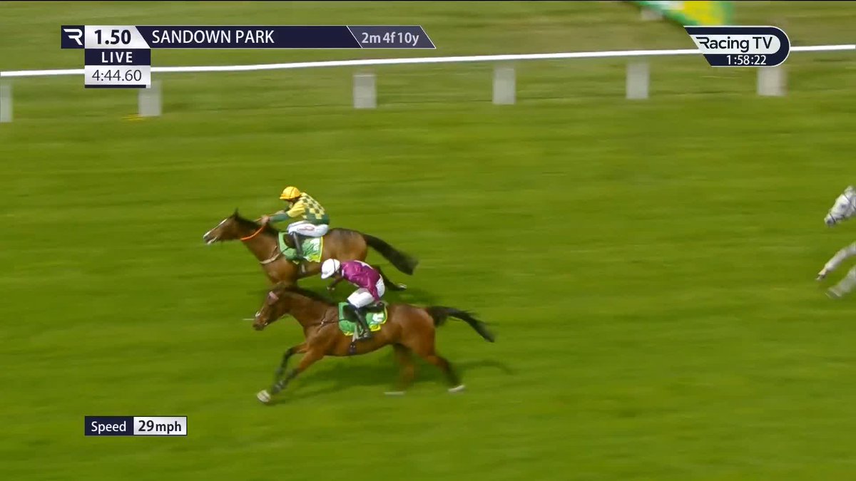 Mark Of Gold wins the bet365 Josh Gifford Novices' Chase Sandown Park 🥇 A double on the card for Gary & Josh Moore Racing and Caoilin Quinn 👏