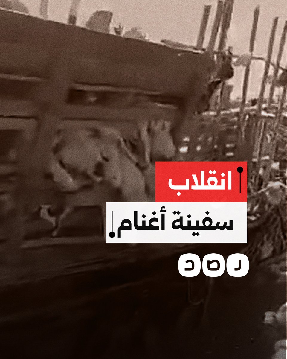 انقلاب سفينة محملة بآلاف الأغنام قبالة سواحل مدينة عدن اليمنية، كانت في طريقها إلى دولة خليجية