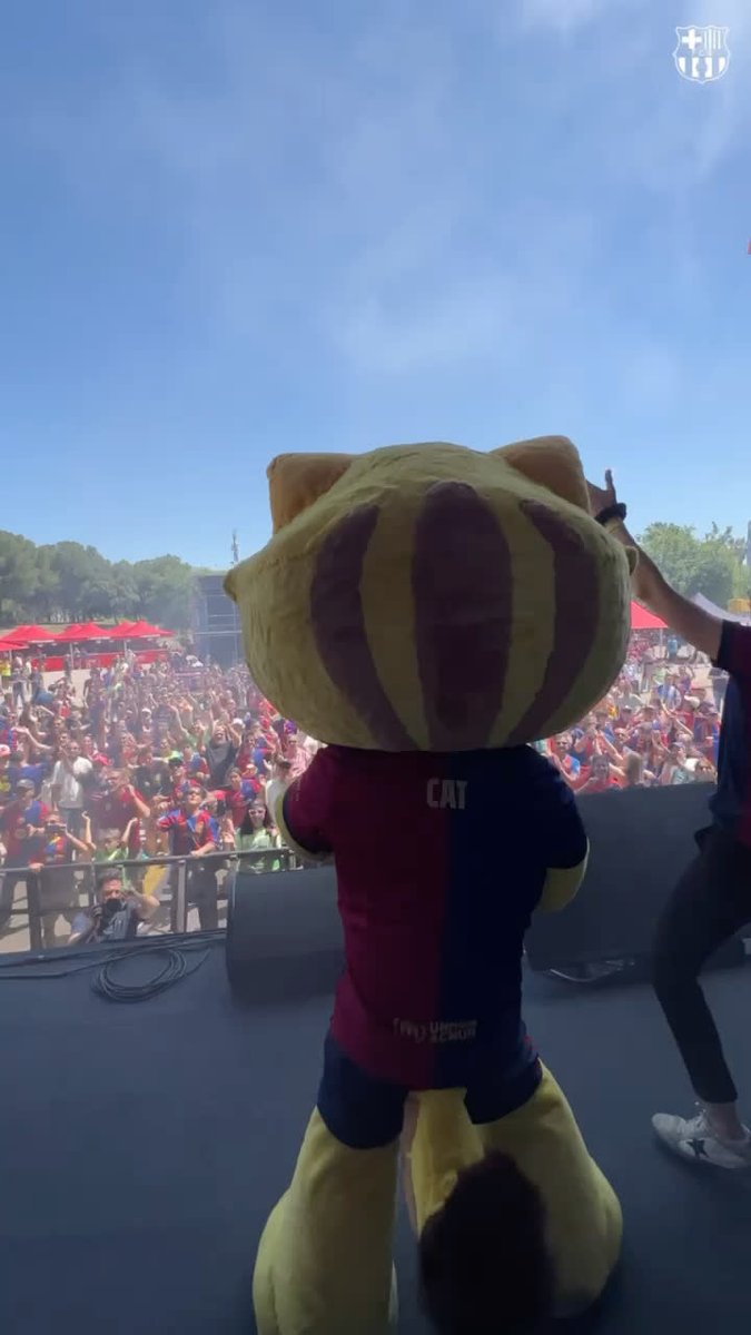 ¡Al ritmo de Cat! 🕺💃