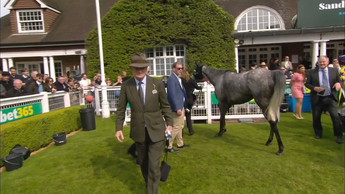 A tremendous training performance from Willie 💪 #ITVRacing | Willie Mullins