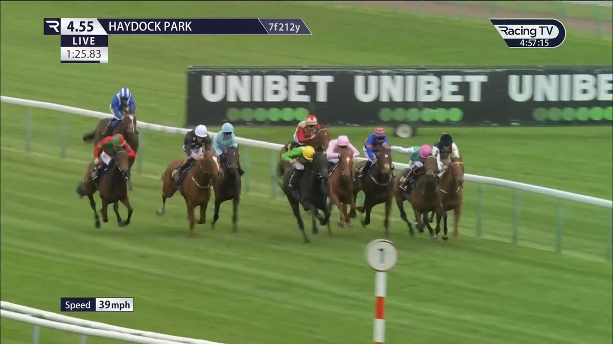 80-1 winner! 😮 A shock in the penultimate race Haydock Park Races as Previse (Oasis Dream) lands her maiden at a HUGE price under Finley Marsh for Harry Charlton 👏 Unibet Racing