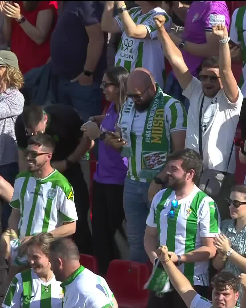 💚 ¡Empata el Córdoba CF! ¡Golazo de Obolski! 🤍 #EldenseCórdoba | #DesenlaceLALIGA
