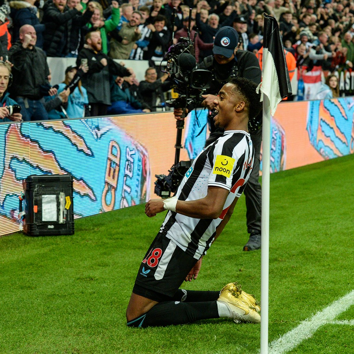 Have another. #NUFC