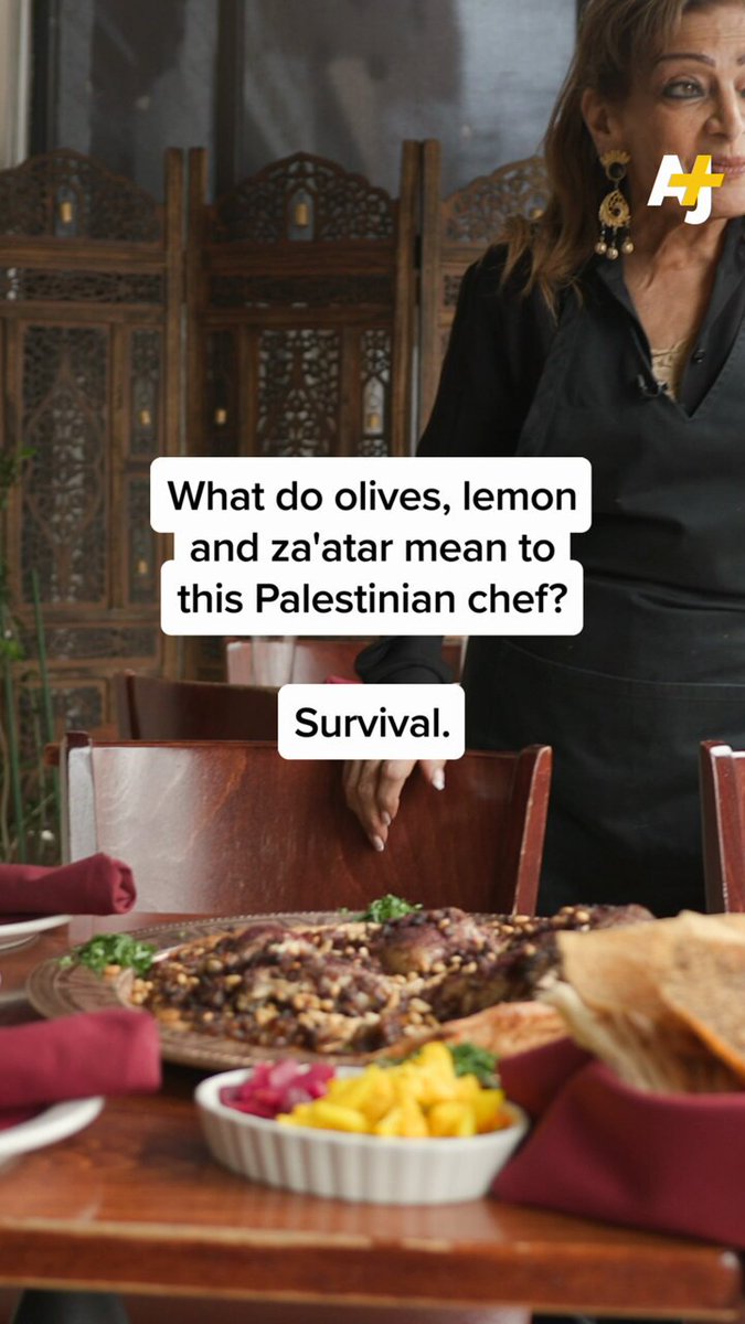 Nearly 30 years ago, Palestinian American chef Rawia Bishara set out to spread the beauty of Palestinian culture through her cooking. With a new cookbook, Tanoreen Restaurant, she hopes to make her Michelin-rated food more accessible.