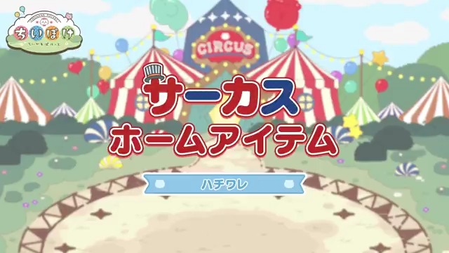 ┏━🎪ハチワレ🎪━┓ サーカス ホームアイテム ┗━━━━━━━━━┛ サーカス衣装のハチワレがやってくる ホームアイテムをご紹介✨ #ちいぽけ #ちいかわぽけっと #ちいぽけサーカス