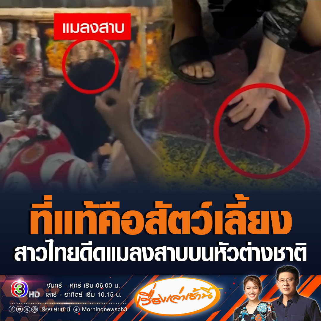 #เรื่องเล่าเช้านี้ เป็นไวรัลสุด ๆ หลังสาวไทยใช่นิ้วดีดแมลงสาบตัวใหญ่เกาะอยู่บนหัวของชาวต่าชาติ แต่คดีพลิกเมื่อรู้ความจริงว่าแมลงสาบตัวดังกล่าวเป็นสัตว์เลี้ยงของเขา #ข่าวช่อง3 #ข่าวโซเชียล