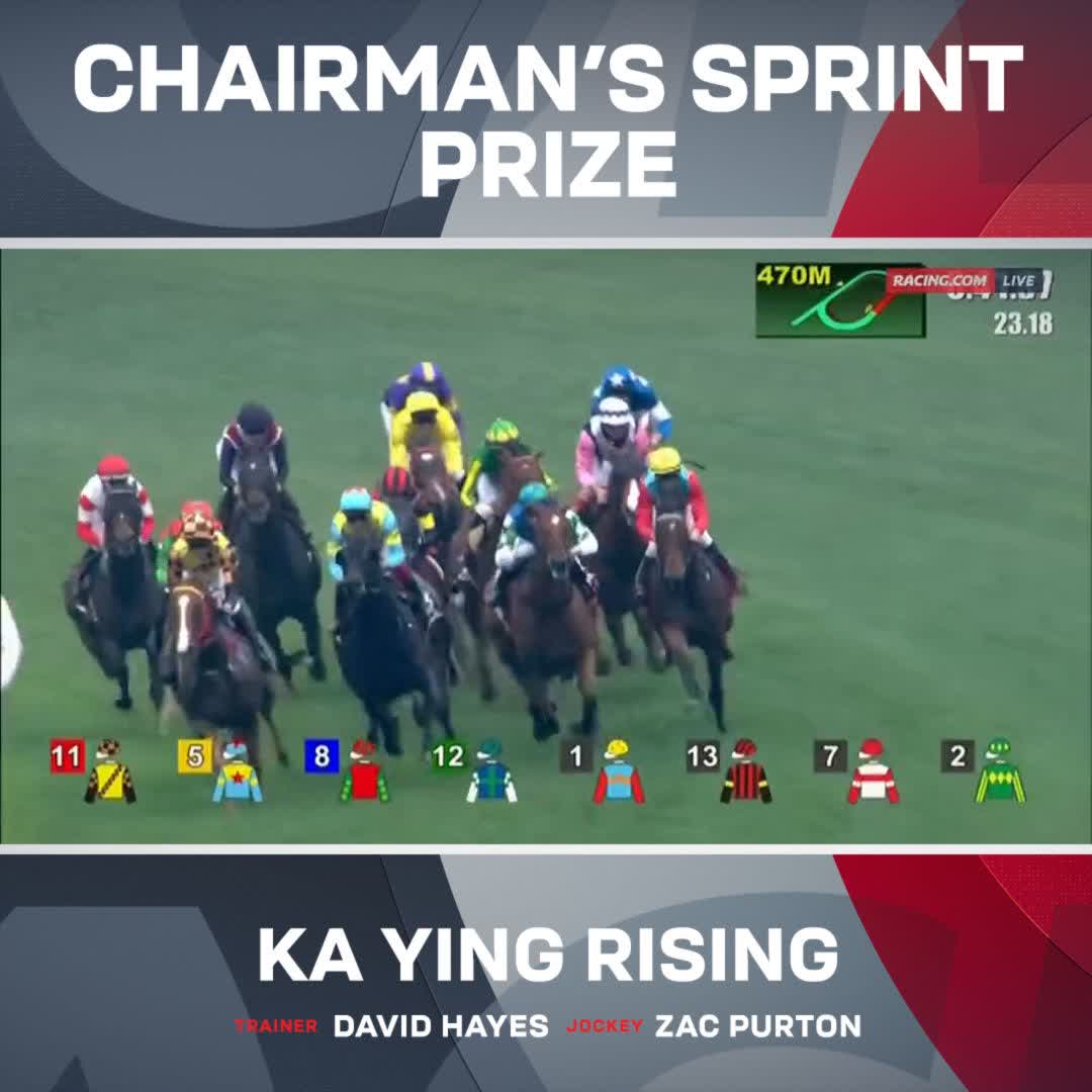 "He's the Usain Bolt of the equine world!" KA YING RISING IS A BEAST! 🔥 HKJC Racing Lindsay Park Racing Zac Purton