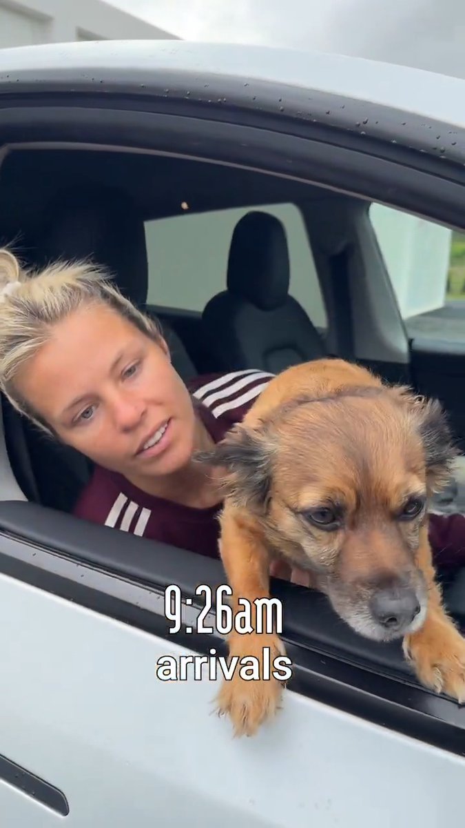 Enjoy a Day in the Life of Rachel Daly (and Dexi) 🎬