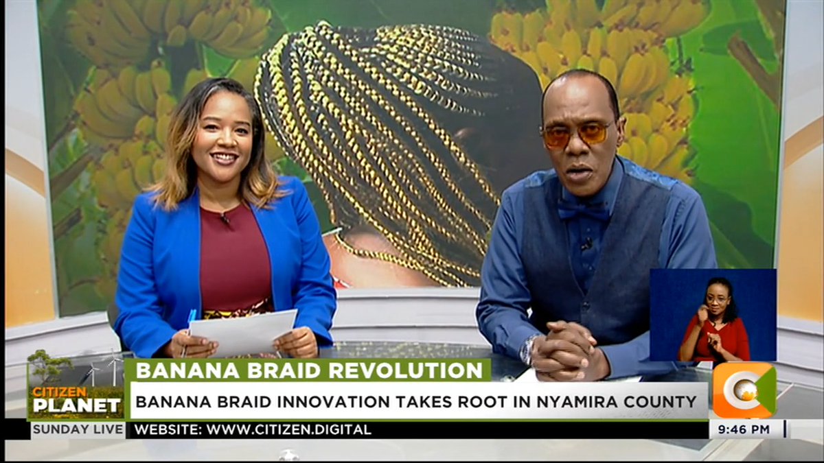 Banana Braid Revolution: Banana braid innovation takes root in Nyamira County Braids made from banana stem fiber Preparation of braids takes up to five days Innovation cuts agricultural waste and creates jobs #CitizenSundayLive Jeff Koinange, MBS Olive Burrows