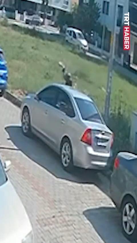 Aydın'da başıboş köpeklerden kaçarken park halindeki araca çarpan bir kişi yaralandı.