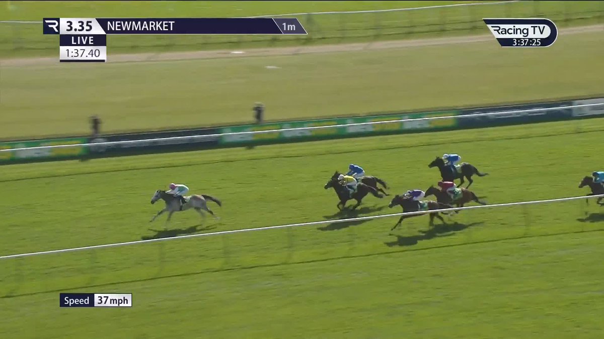 🏴 17 Confirmations for the 2000 Guineas at Newmarket on Saturday: • Field Of Gold 9/4 • Twain 5/1 • Scorthy Champ 9/1 • Ruling Court 10/1 • Shadow Of Light 10/1 • Expanded 16/1 • Green Impact 16/1 • Jonquil 16/1 Fast ground incoming boys!!! 🌞