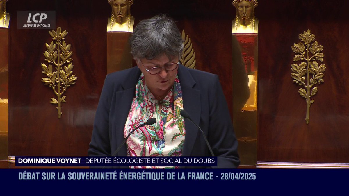 "Miser prioritairement sur le nucléaire, c'est aggraver notre retard (...), c'est renoncer durablement à une électricité abondante et compétitive", déclare Dominique Voynet, qui demande à François Bayrou de l'inviter à déjeuner pour "approfondir" la discussion. #DirectAN