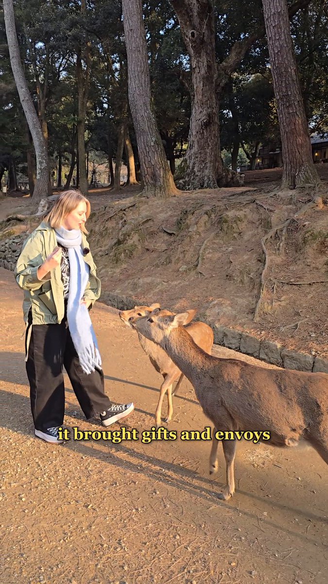Hide your deer snacks 🦌 𝚂𝚘𝚙𝚑𝚒𝚎𝚀𝚞𝚎𝚜𝚝𝚜 heads to Nara, Japan to discover the history of Queen Himiko!