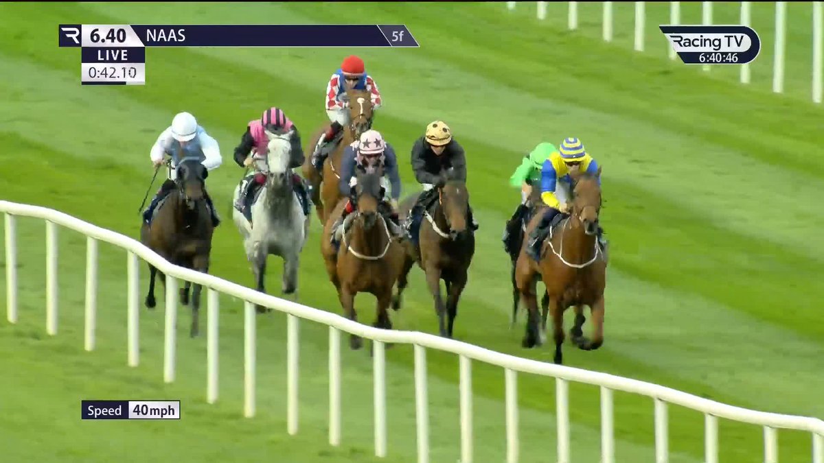 𝐓𝐰𝐨 𝐒𝐭𝐚𝐫𝐬 ⭐️⭐️ fozzystack's sprinter (7-4) lowers the significant colours of white-hot My Mate Alfie in the Listed Anglesey Lodge Equine Hospital Woodlands Stakes Naas Racecourse 🔥