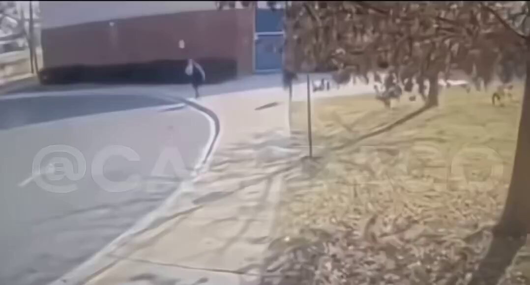 Yn 🥷gets killed 💥💥🕊️outside of school #chicago #shooting