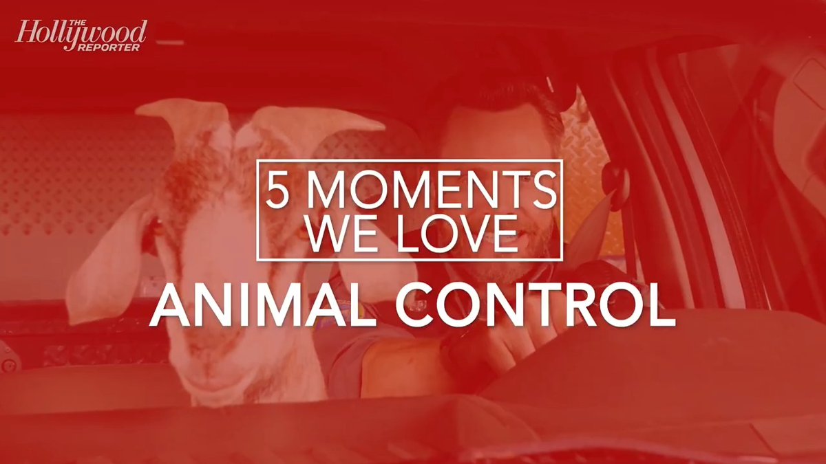 The Hollywood Reporter is rounding up the five moments we love from Fox’s wildly funny comedy, #AnimalControlFOX — from outrageous animal antics to laugh-out-loud workplace chaos