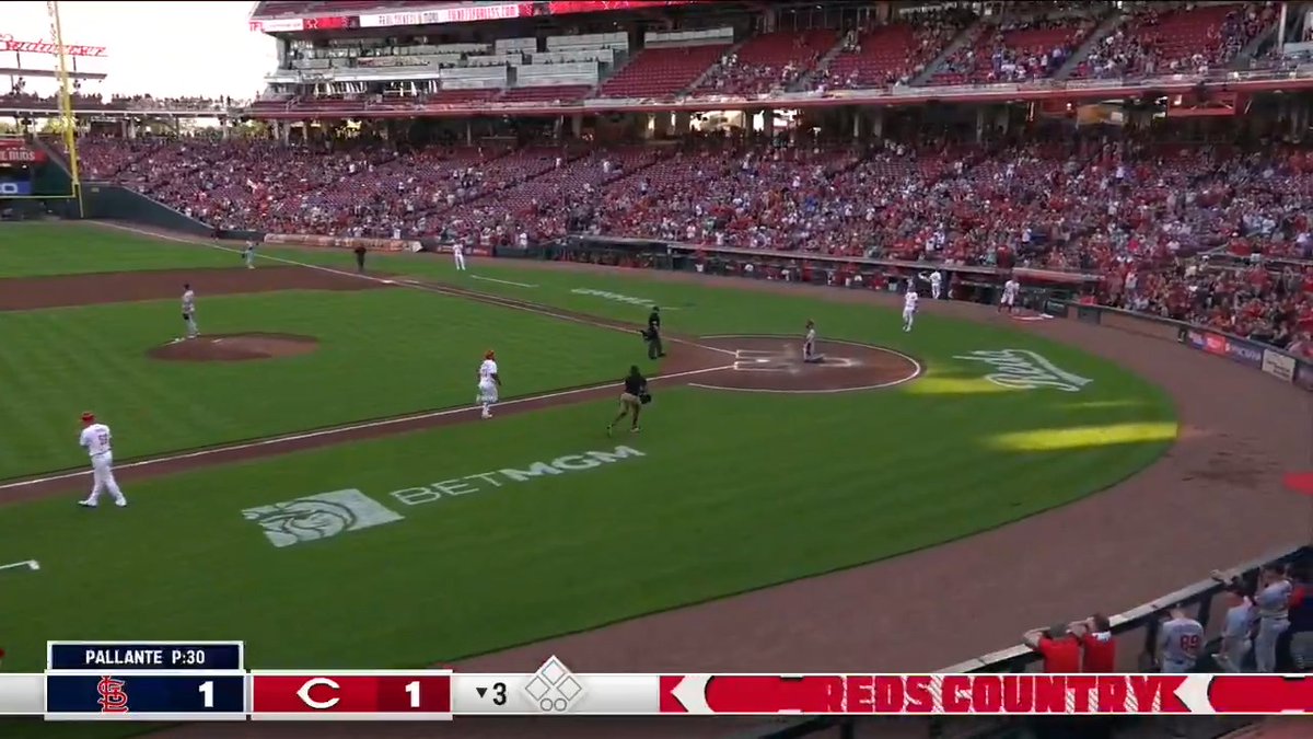 Reds. Catchers. Rake. Jose Trevino
