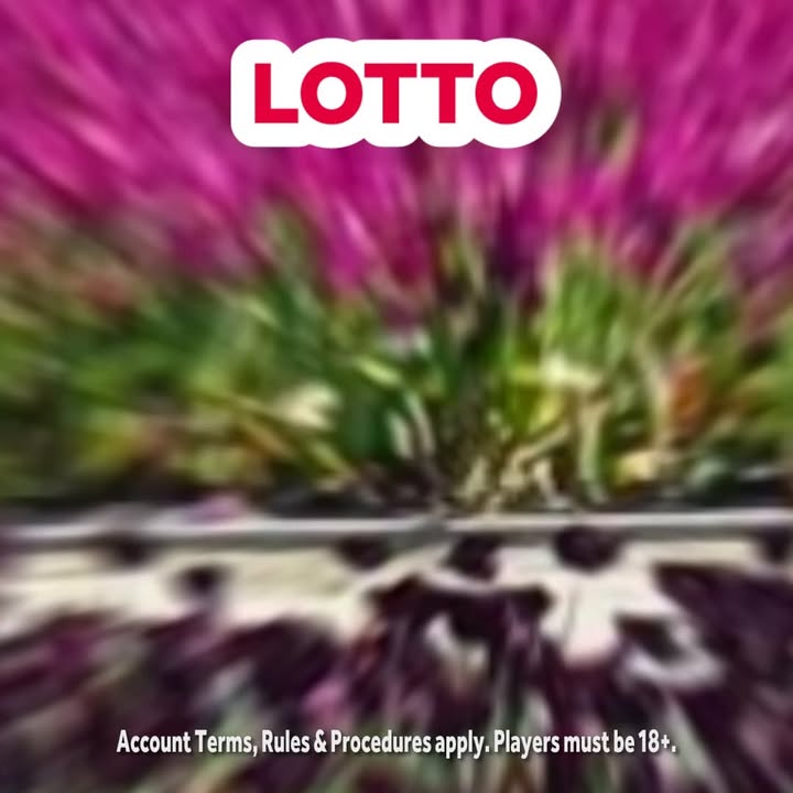 Will you be the next millionaire? Rules apply. 18+
