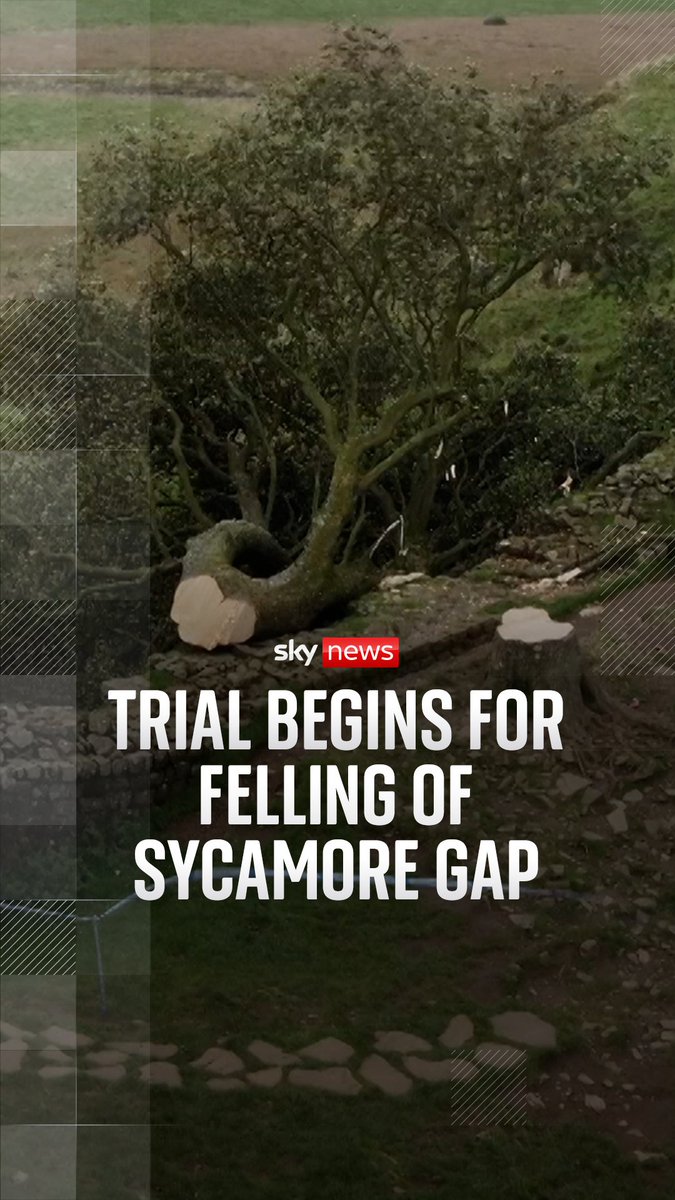 Sky's Shingi Mararike reports from Newcastle Crown Court where Daniel Graham and Adam Carruthers are on trial for causing criminal damage to the famous tree and Hadrian's wall. Read more: