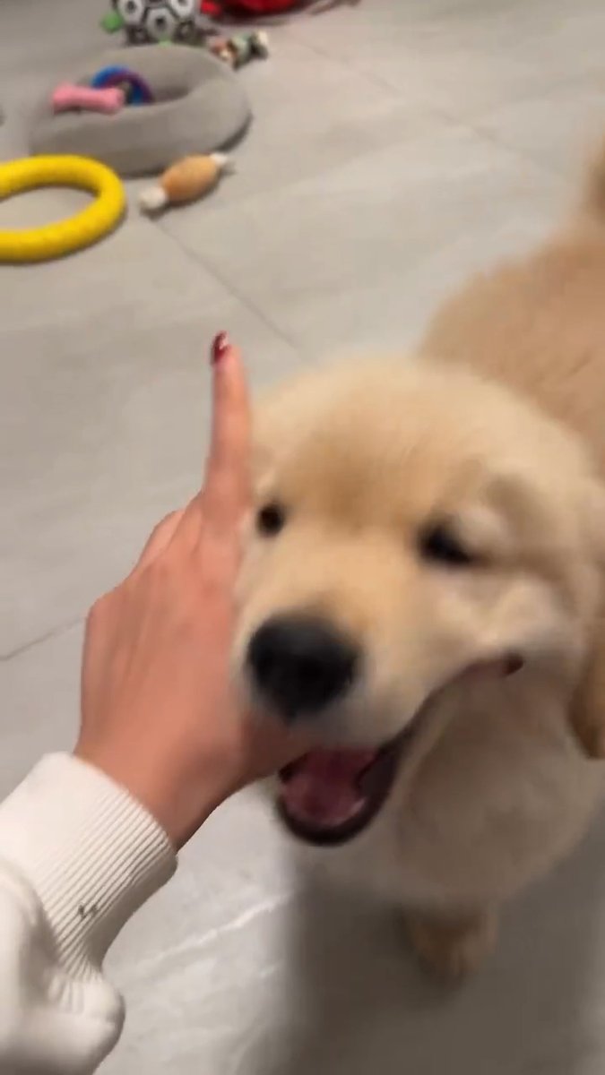 cute baby dog ๐ถ๐