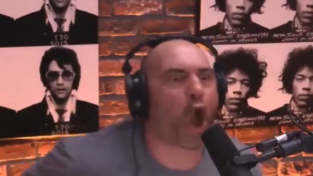 100 Joe Rogan's could take one Gorilla...