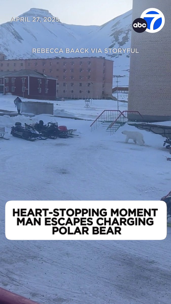 A man chose to drop his gun and try to outrun a charging polar bear on a snowmobile in the Arctic town of Pyramiden on the Norwegian archipelago of Svalbard. 😳