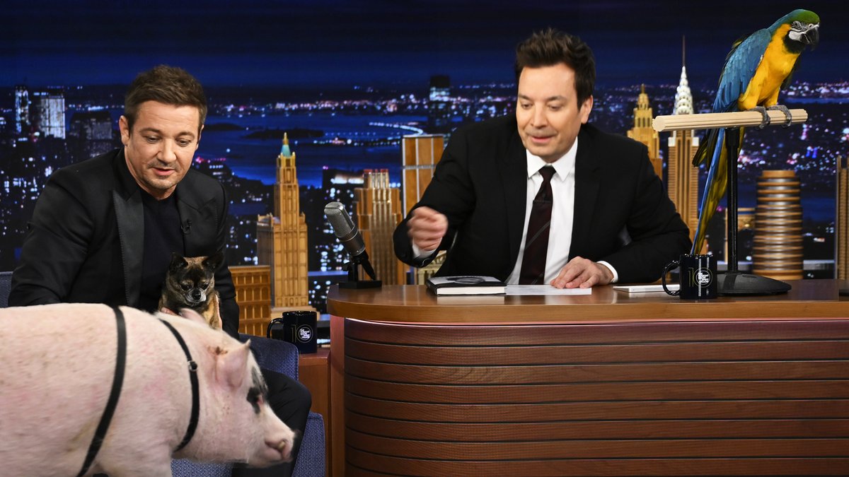 .Jeremy Renner brings out his emotional support dog Hershey, who needs some emotional support of his own 😂 #FallonTonight