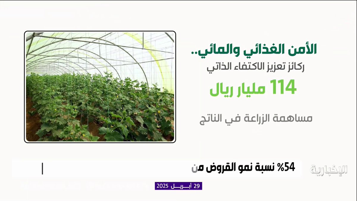 #من_الشاشة | بالأرقام؛ المملكة تتبنى استراتيجية شاملة لتعزيز الأمن الغذائي والمائي. #هيئة_الإذاعة_والتلفزيون