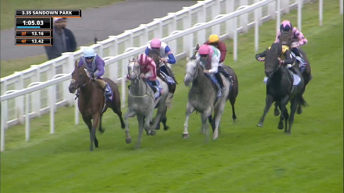 Will Field Of Gold win the 2000 Guineas on Saturday? 🏆 #ITVRacing