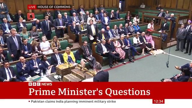 Does the PM not recognise "his net-zero policy is not only bad, but it is mad," the DUP's Sammy Wilson asks, referencing a Tony Blair Institute report I learned not to just read headlines but to "look at some of the detail", Keir Starmer responds #PMQs