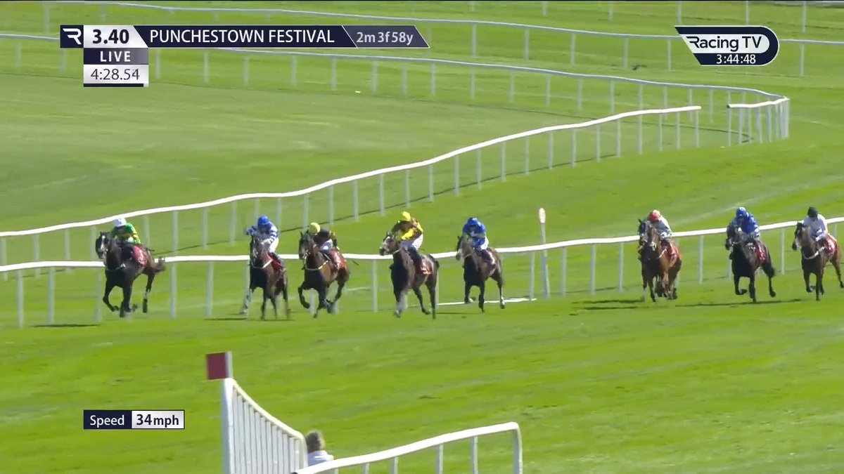 Kaid D'Authie has an engine alright and this classy type makes most of the running to land the Louis Fitzgerald Hotel Hurdle for Mark Walsh, JP McManus and Willie Mullins Punchestown