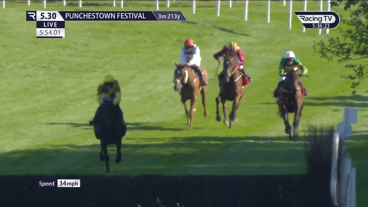 🟤🌕 THE CHAMP IS BACK!! 🌕🟤 King Galopin Des Champs bounces back to win the Punchestown Gold Cup in emphatic style! 🤩