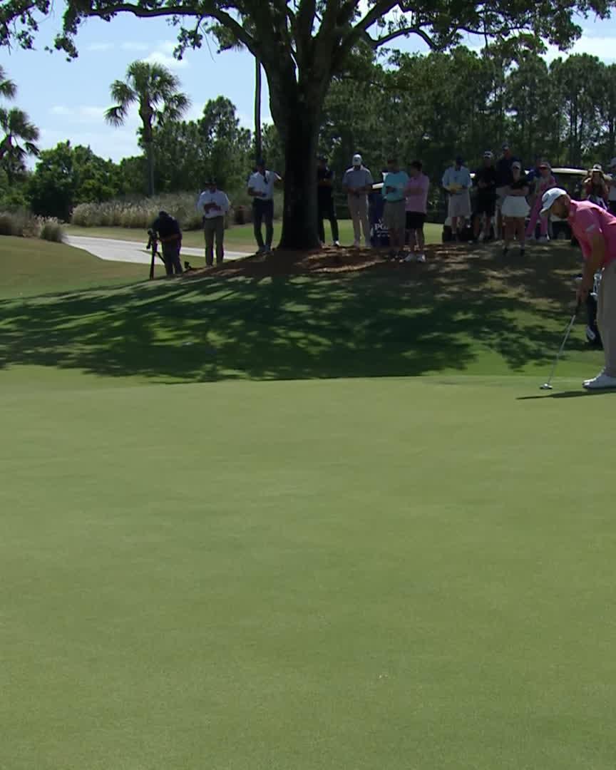 Timothy Wiseman walks it in! 🚶 With a spot in a major on the line, the emotions are high at the PGA Professional Championship. Indiana Golf