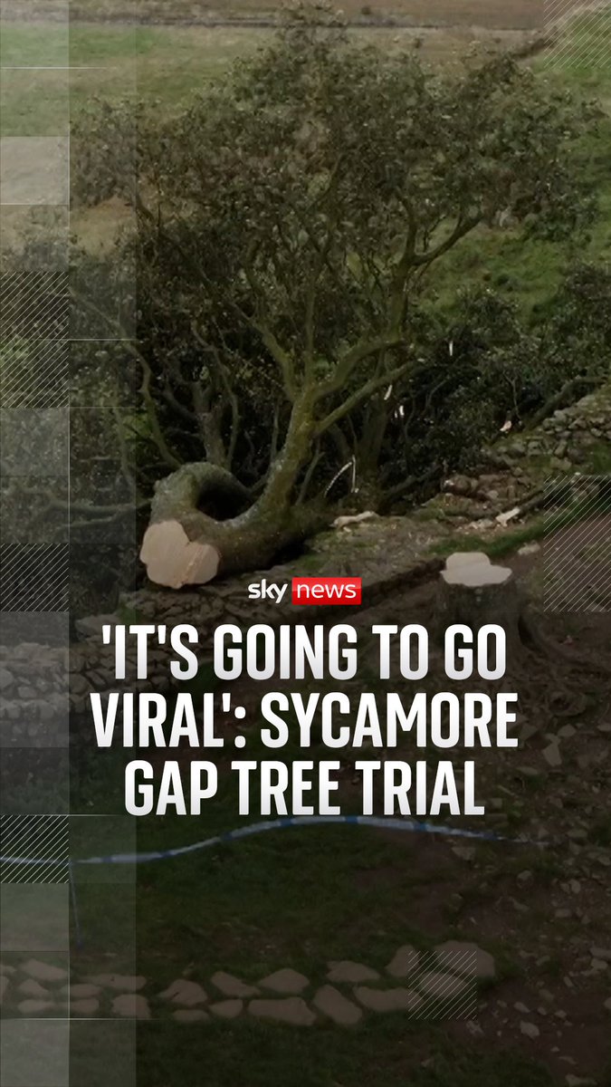 'It's going to go viral' Jurors played voicenotes in the Sycamore Gap tree trial that were allegedly exchanged between the defendants, Daniel Graham, 39, and Adam Carruthers, 32.