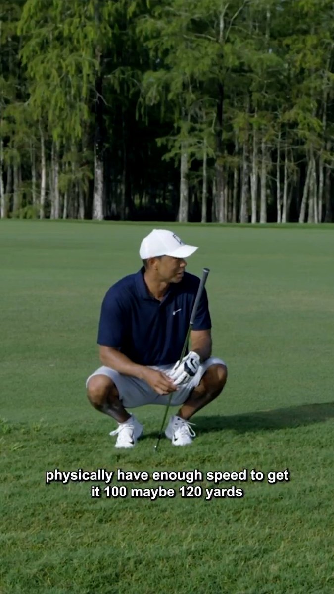 Stuck in the rough? Tiger's got you.