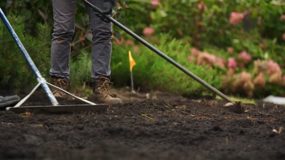 Say goodbye to mowing and hello to a thriving garden! Learn how to turn your lawn into a beautiful, low-maintenance garden bed. 🌱