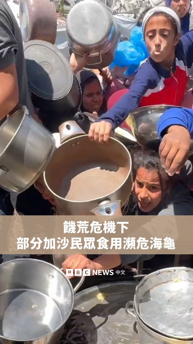 加沙饥荒问题日益严重,部分居民被迫食用濒临绝种的海龟。由于以色列持续封锁边境,粮食、医疗等物资难以进入,加沙人民的困境加剧。然而,以色列声称遵守国际法,并表示无援助短缺。
