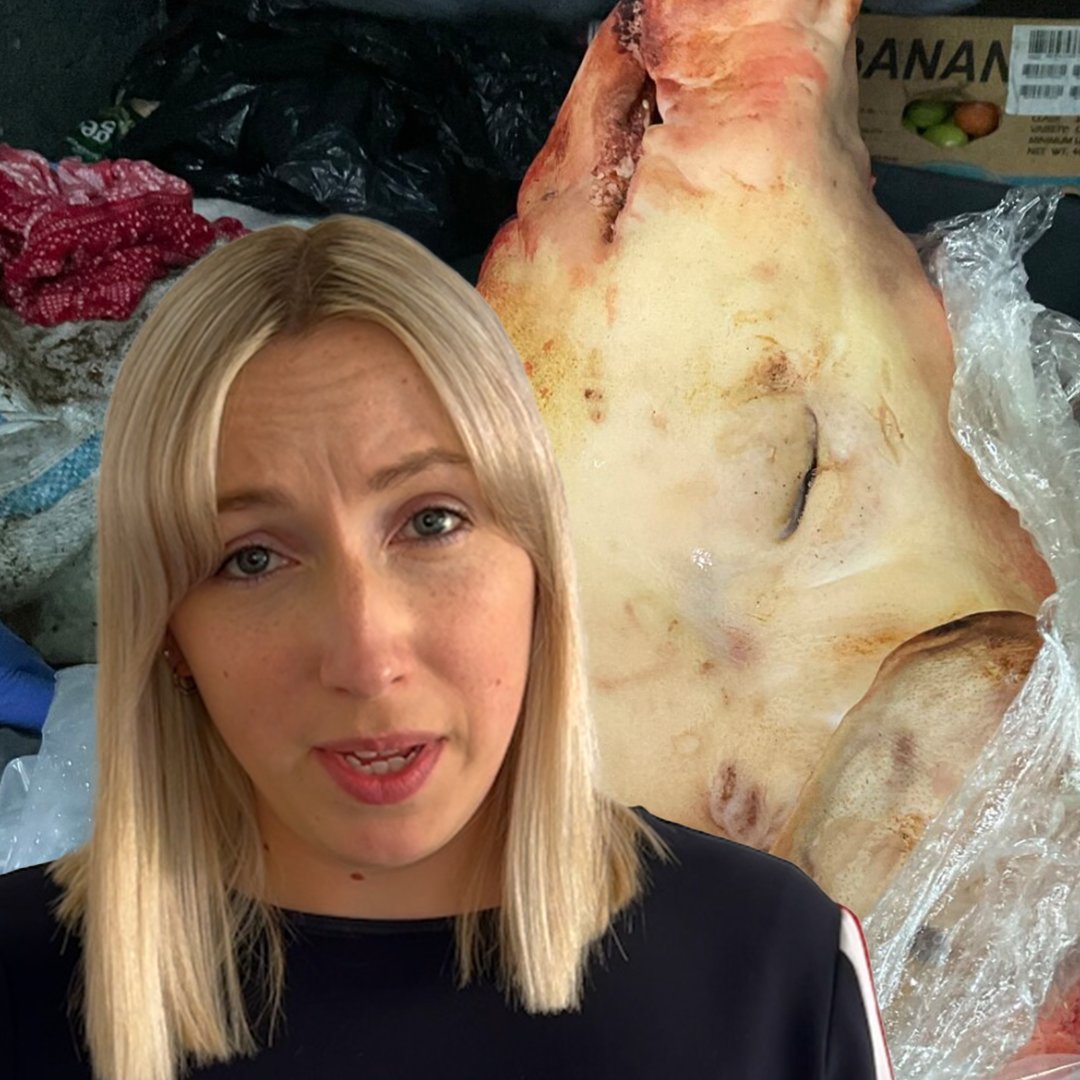 Tonnes of illegal meat destined for British high streets is being seized at Dover. Carcasses are being hidden - unrefrigerated - in car boots and coach luggage compartments. But we could be looking at a bigger problem than just food poisoning, as Emma Corr explains: