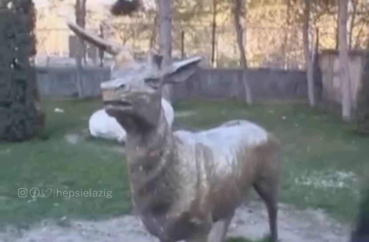 Türkiye’nin gelmiş geçmiş en iyi röportajları arasında yerini alır 😍