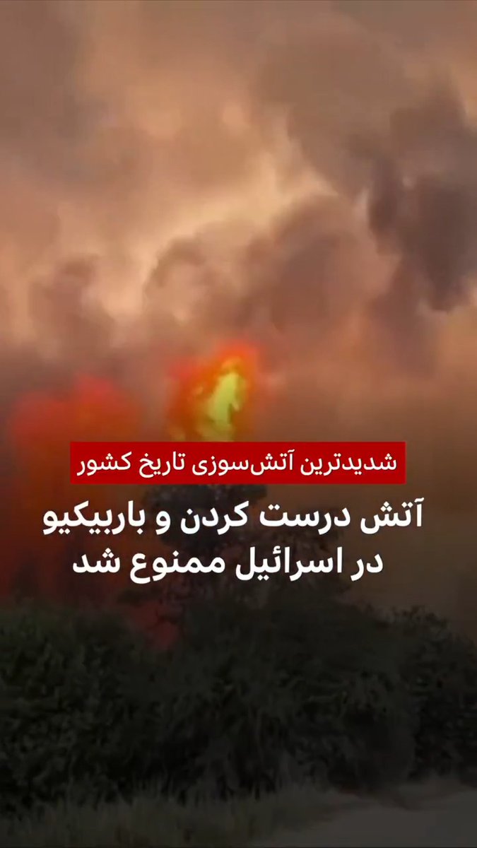 بیش از ۱۵۰ گروه امدادی و هواپیمای آتش‌نشانی همچنان در حال خاموش کردن آتش‌سوزی در جنگل‌های اسرائیل هستند. گفته شده این حادثه، بدترین آتش‌سوزی در تاریخ اسرائیل است.