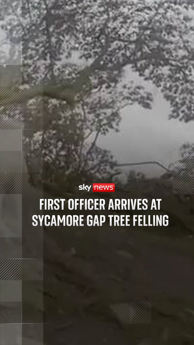Bodycam footage shows the moment the first officer arrived at the scene after Sycamore Gap tree felling