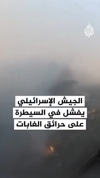 الجيش الإسرائيلي يفشل في السيطرة على حرائق الغابات قرب #القدس #فيديو