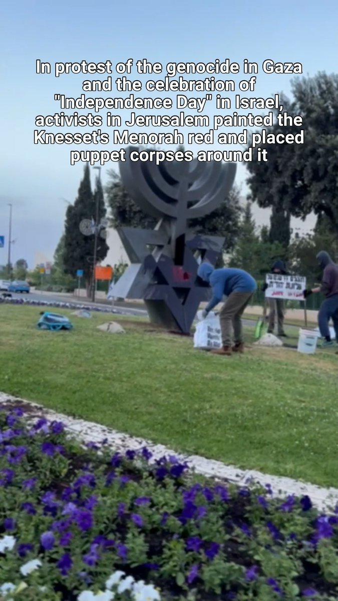 In protest of the genocide in Gaza and the celebration of "Independence Day" in Israel, activists painted the Menorah statue outside the Knesset red. They surrounded it with puppet "corpses" in shrouds. The activists stated: “At a time when the Israeli government continues to starve and annihilate Palestinians in Gaza, and oppress and dispossess Palestinians in the West Bank, we insist on proclaiming that Jewish supremacy and ethnic cleansing lie at the heart of the Zionist project. The only path to peace and security for all people is to dismantle the apartheid regime and replace it with a system of justice, equality and freedom for all. An Independence that is celebrated on the blood of tens of thousands of people in Gaza is not independence. We call on all those who support justice, partnership, and freedom to intensify their resistance to the genocide.",