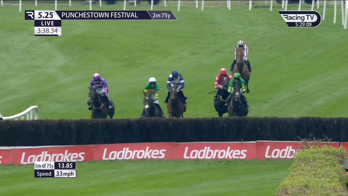 Relentless from Majborough Punchestown 🟢🟡
