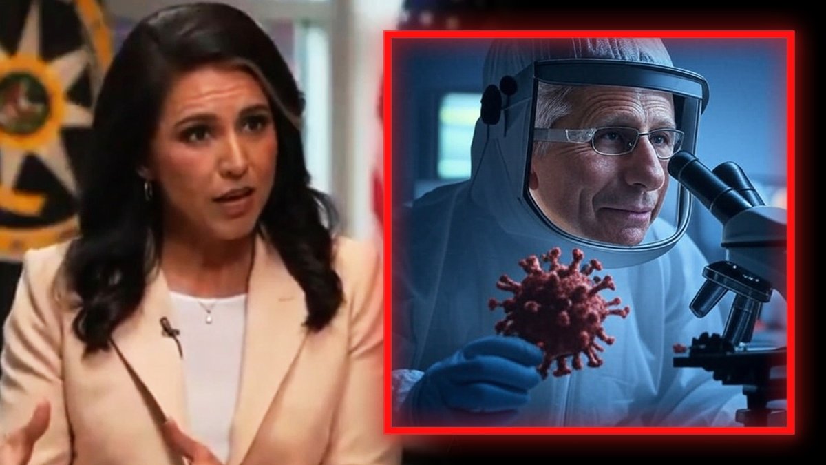 BOMBSHELL!! Director Of National Intelligence Tulsi Gabbard Now Investigating Fauci For His Role In Creating COVID-19, Says “We Have To End Gain-of-Function Research!” PLUS, She Warns Of New Viruses Being Released From Dangerous & Deadly Biolabs » LIVE X STREAM: