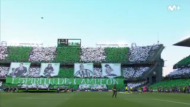 💚 Historia del Real Betis Balompié 🌴💚. 🤍 Historia del Benito Villamarín. #UECL #LaCasaDelFútbol