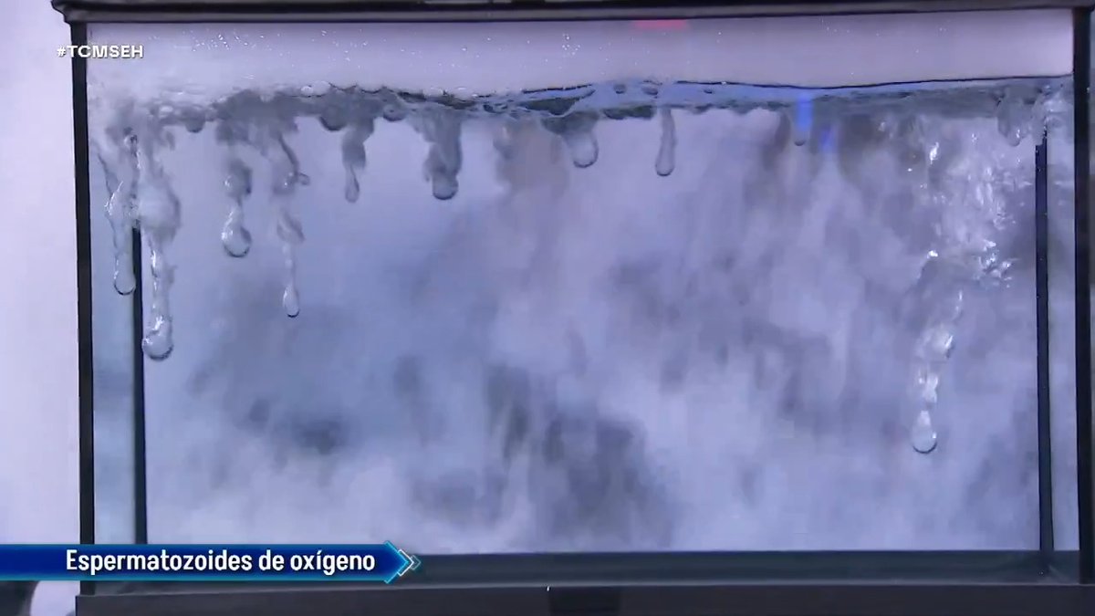 🧪 Jorge Marrón Martín crea espermatozoides de oxígeno #TCMSEH